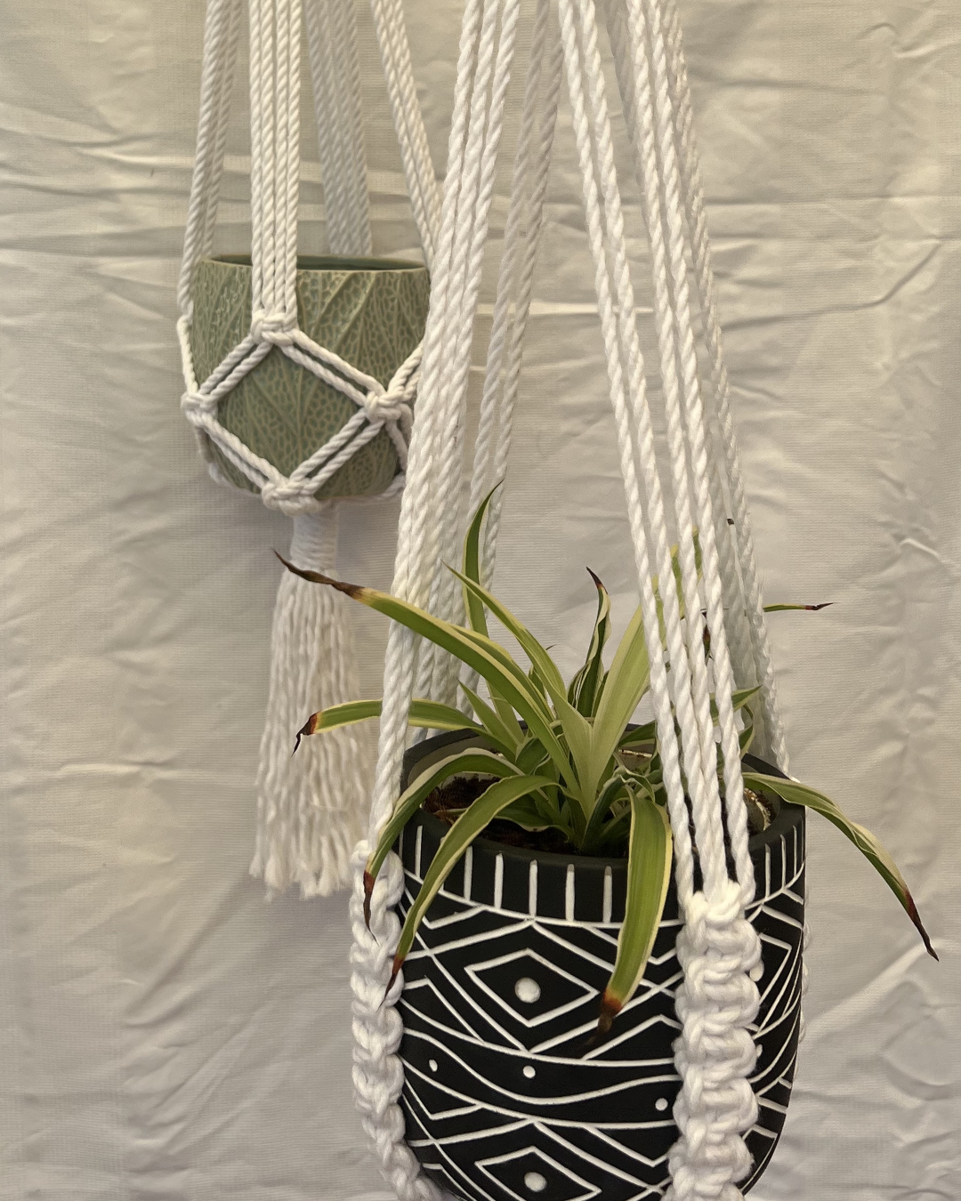 Large Macramé Plant Hanger
