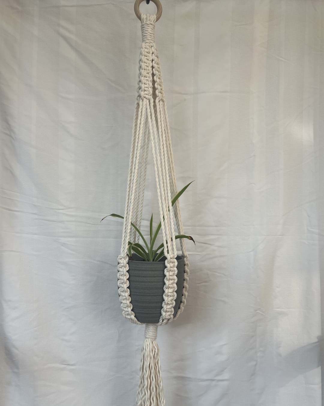 Large Macramé Plant Hanger