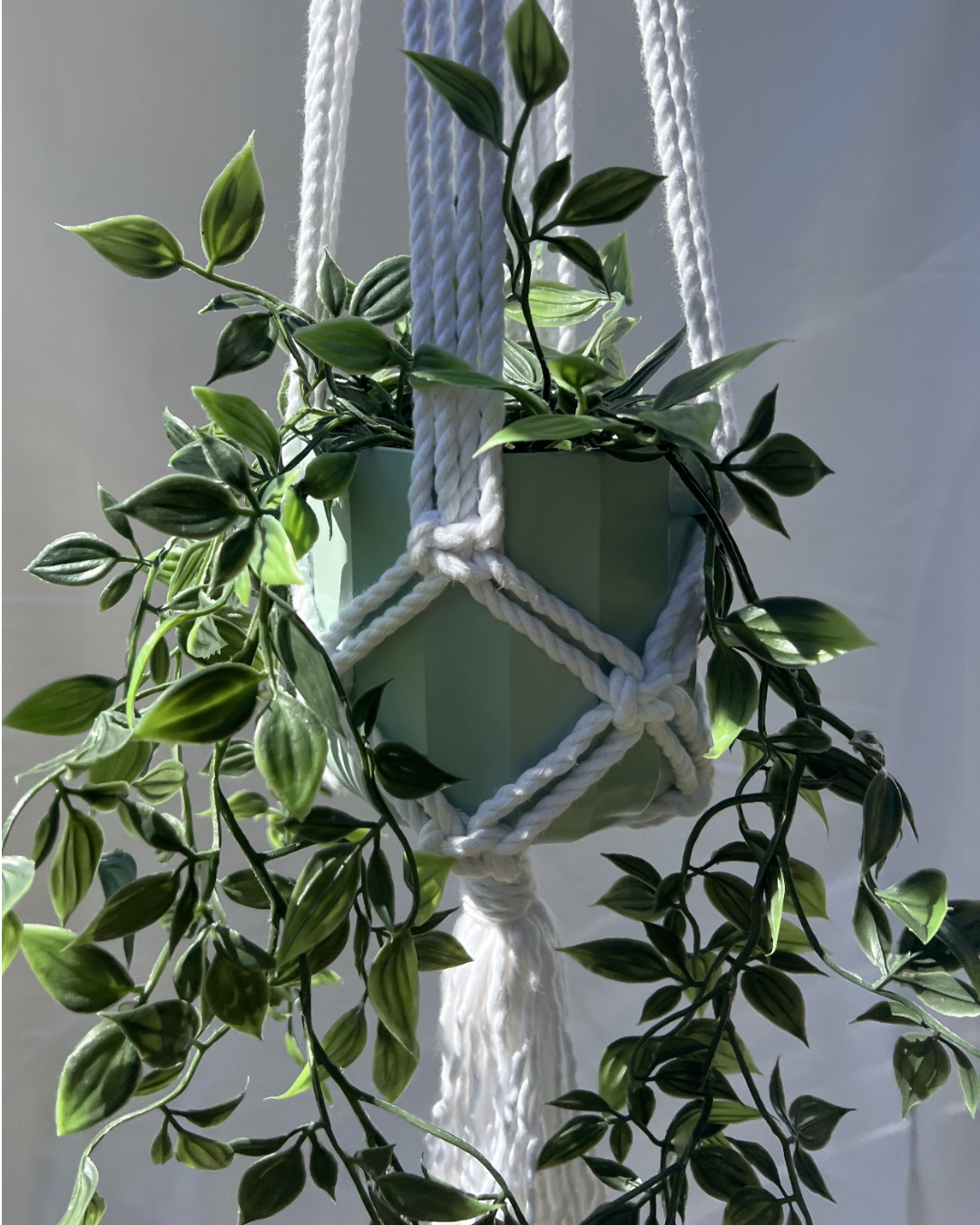 Natural Macramé Plant Hanger