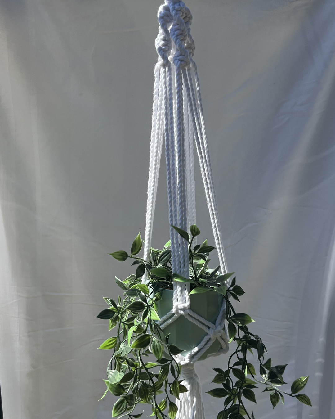 Natural Macramé Plant Hanger