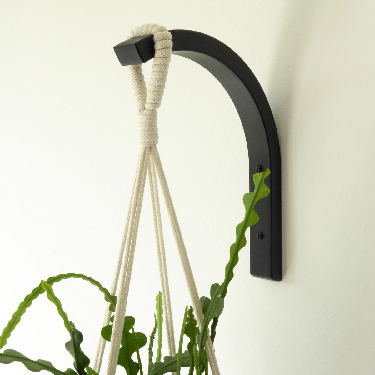 Plant Hanger Brackets