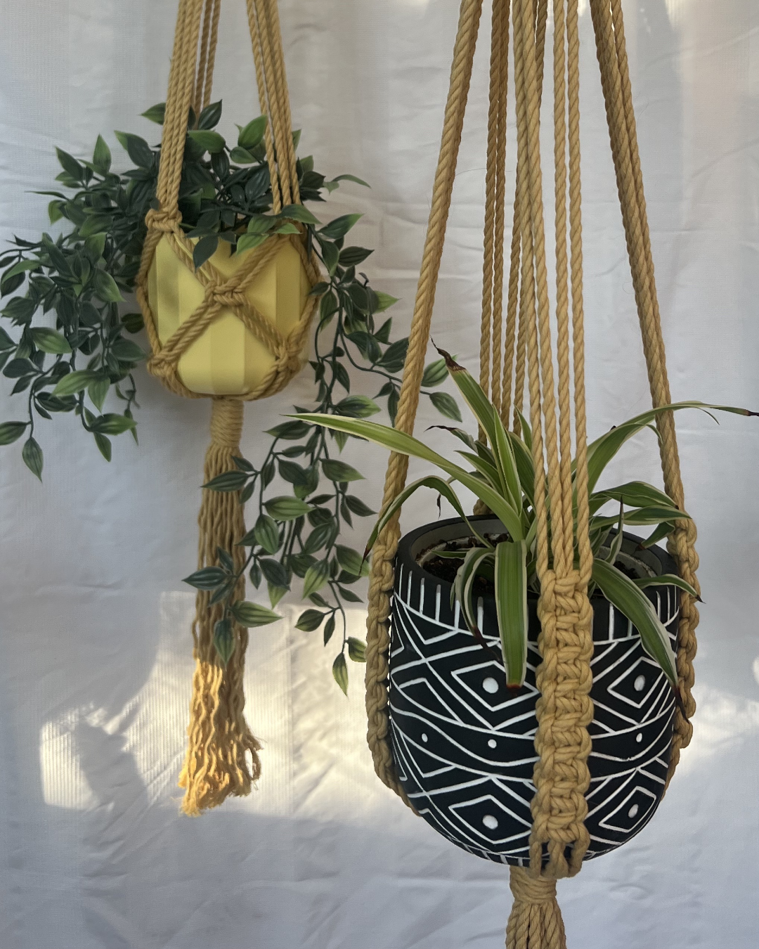 🌸 Spring Fling Pastel Plant Hangers – Handmade with 100% Recycled Cotton