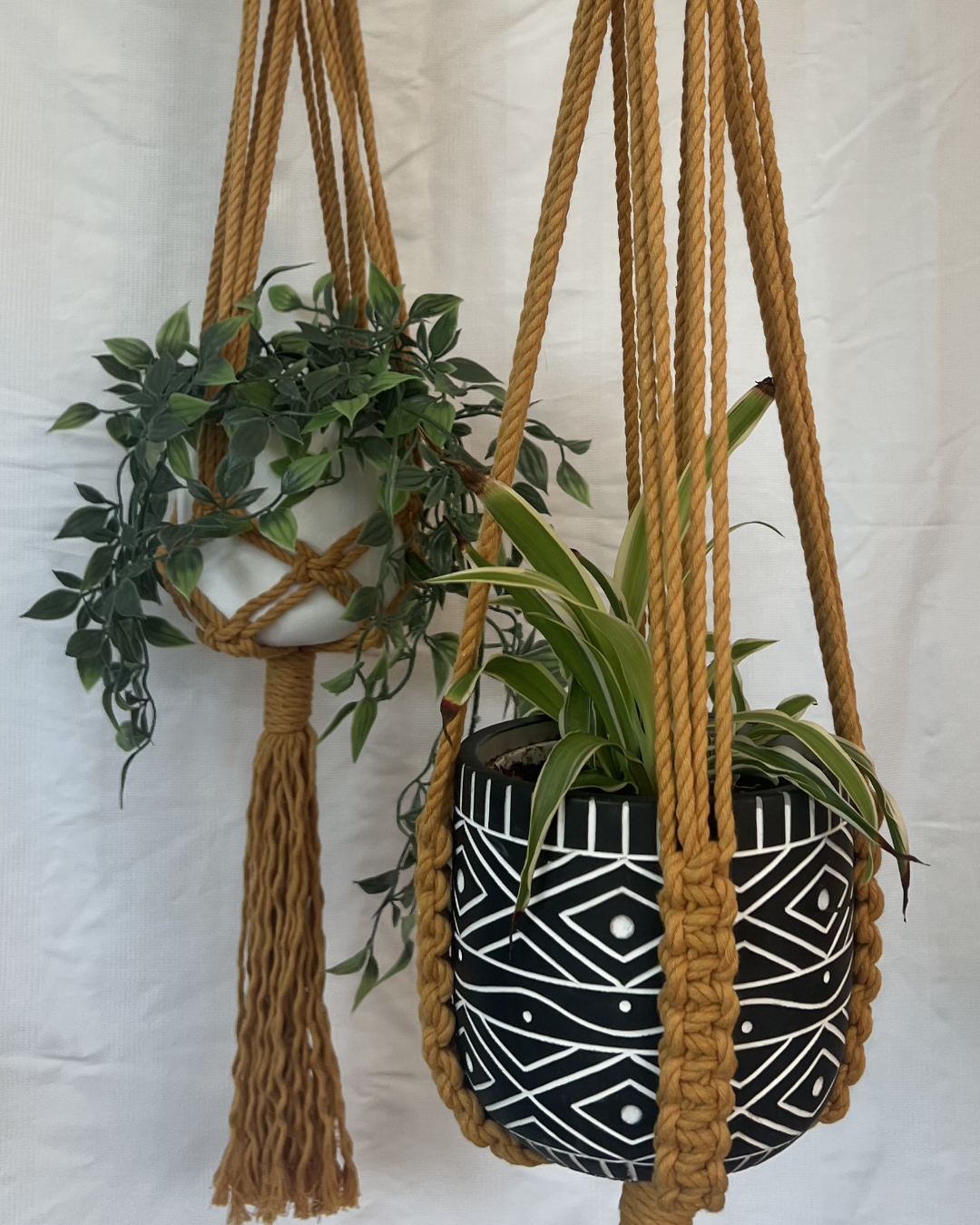 🍂 Autumnal Plant Hangers – Handmade with 100% Recycled Cotton