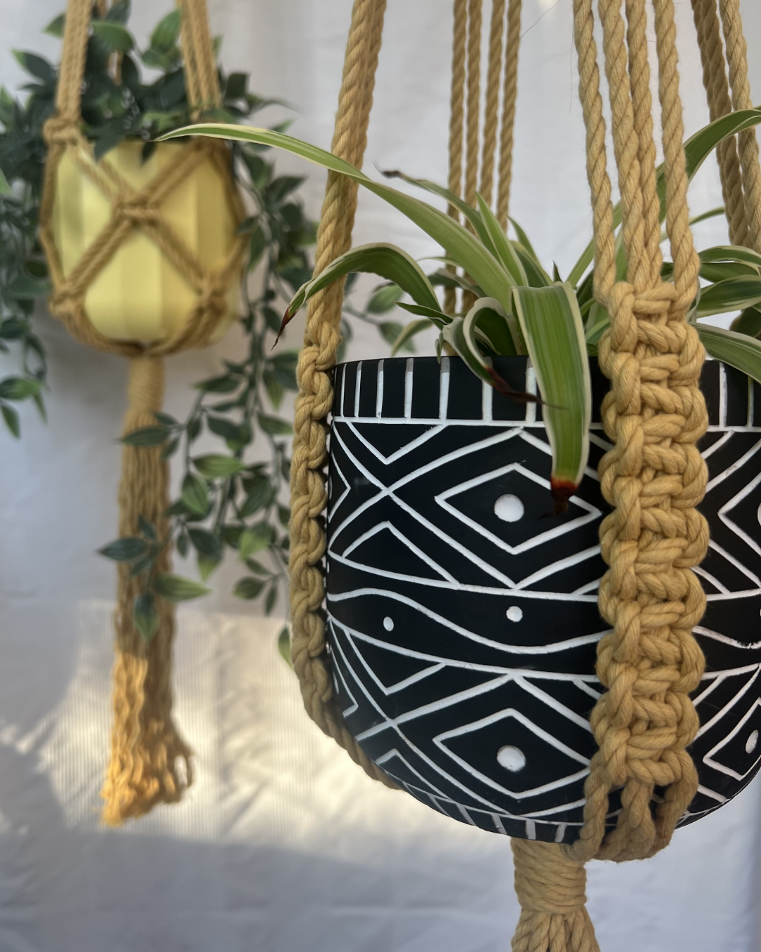 🌸 Spring Fling Pastel Plant Hangers – Handmade with 100% Recycled Cotton