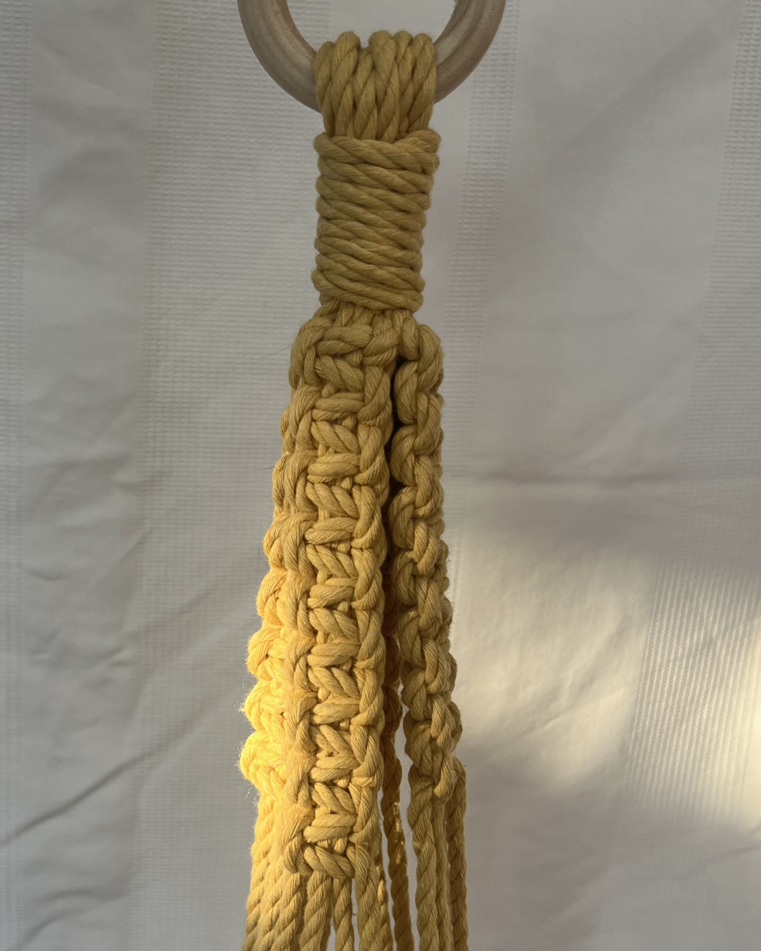 🌸 Spring Fling Pastel Plant Hangers – Handmade with 100% Recycled Cotton