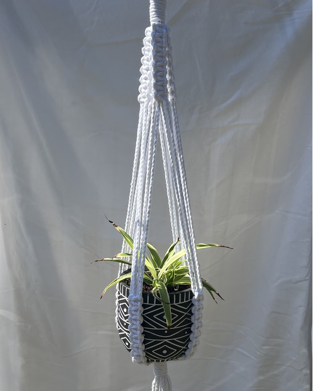 Large Macramé Plant Hanger