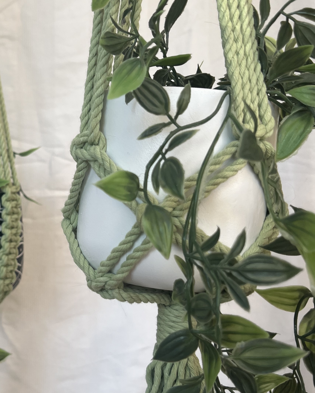 Earthy Green Plant Hangers – Handmade with 100% Recycled Cotton