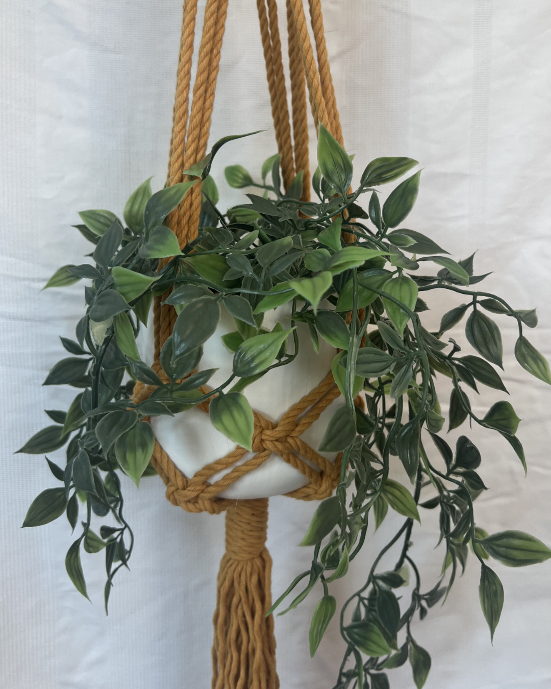 🍂 Autumnal Plant Hangers – Handmade with 100% Recycled Cotton